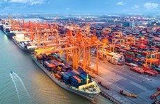 Южные морские порты привлекательны для иностранных инвесторов