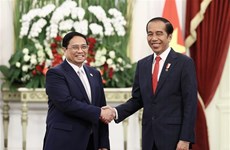 Премьер-министр Фам Минь Тьинь имел встречу с президентом Индонезии  Джоко Видодо
