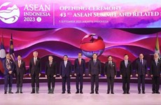 В Джакарте открывается 43-й саммит АСЕАН
