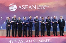 Премьер-министр Фам Минь Тьинь принял участие в семинаре по глобальным и региональным проблемам