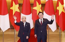 Председатель НС Выонг Динь Хюэ провел переговоры с Председателем Сената Японии Оцудзи Хидэхисой