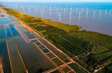 Вьетнам расширяет международное сотрудничество в области противодействия изменению климата