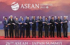 Премьер-министр Фам Минь Тьинь принял участие в конференциях АСЕАН с Китаем, Кореей и Японией