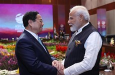 Премьер-министр Фам Минь Тинь провел встречу с премьер-министром Индии Нарендрой Моди