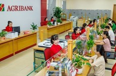 Банки присоединяются к продвижению зеленого кредитования