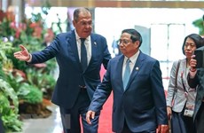 Премьер-министр Фам Минь Тьинь имел встречу с министром иностранных дел России