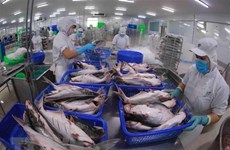 В экспорте рыбной продукции сохраняются препятствия