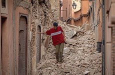 Землетрясение в Марокко: посольство Вьетнама в Марокко проводит работу по защите граждан