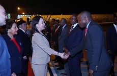 Вице-президент Вьетнама начинает официальный визит в Мозамбик