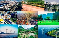 Вьетнам и Япония вместе на пути к зеленому росту