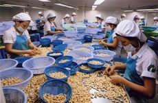 Вьетнамская сельскохозяйственная продукция более глубоко участвует в глобальной цепочке поставок