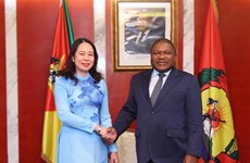 Новая веха в двусторонних отношениях между Вьетнамом, Мозамбиком и ЮАР
