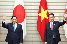 Вьетнам и Япония рука об руку идут к будущему  и стремятся к мировому уровню