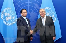 Премьер-министр Фам Минь Тьинь встретился с Генеральным секретарем ООН