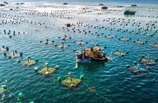 Определять позицию рыбного сектора Вьетнама на карте мира