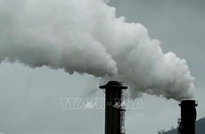 Вьетнам стремится к развитию низкоуглеродной экономики и активной борьбе с изменением климата