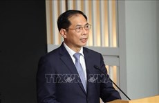 Министр: Зарубежный тур премьер-министра Фам Минь Тьиня принесла существенные и всеобъемлющие результаты