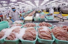 Вьетнам вряд ли сможет совершить прорыв в экспорте морепродуктов в краткосрочной перспективе