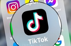 Обнаружен ряд нарушений со стороны TikTok Singapore