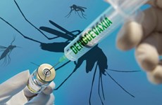 Вьетнам примет участие в тестировании японской вакцины против денге