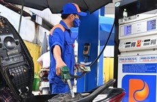 Министерство предлагает продлить срок действия льготы по экологическому налогу на топливо до 2024 года