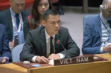 Вьетнам осуждает нападения на мирное население и гражданскую инфраструктуру