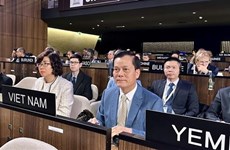 Вьетнам избран вице-президентом Генеральной конференции ЮНЕСКО