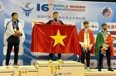 Вьетнам занял второе место на 16-м чемпионате мира по ушу