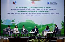 Вьетнам продвигает международное сотрудничество в развитии углеродного рынка