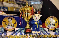 В Хошимине открывается 7-й чемпионат мира по Вовинам