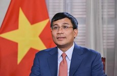 Содействие многогранному сотрудничеству между Вьетнамом и Японией