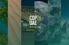 Вьетнам присоединится к важным инициативам на COP28