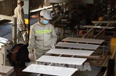 Вьетнам входит в число 10 крупнейших стран-производителей строительной керамики