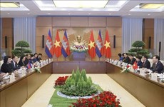 Углубление и развитие практичных и эффективных отношений между Вьетнамом и Камбоджей