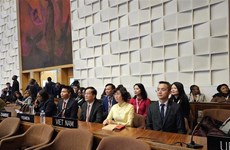 Посол: 2023 стал успешным годом культурной дипломатии Вьетнама в ЮНЕСКО