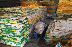 Экспорт риса достиг рекордного уровня в 2023 году