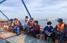 Борьба с ННН-промыслом: Вьетнам ввел запрет на рыбную ловлю судам, не соответствующим правилам