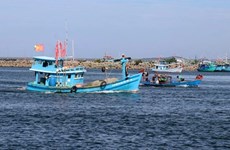 Необходимо полностью останавливать вьетнамские рыболовные суда, незаконно ведущие рыбный промысел в иностранных водах