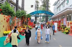  Цветочные улицы несут весну поциентам больниц в Хошимине