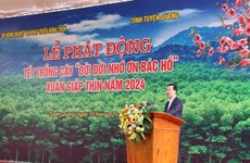 Президент государства открыл новогодний фестиваль по посадке деревьев в Туенкуанге