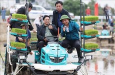 Премьер-министр Фам Минь Тьинь посетил модели сельскохозяйственного производства в провинции Хайзыонг