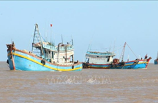 Провинция Кьенжанг призывает рыбаков к борьбе с нелегальным промыслом