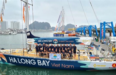 Вьетнамская команда заняла 5-е место на 5-м этапе гонки на парусных судах Clipper Race