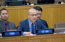 Вьетнам призывает к усилению мер безопасности и повышению роли женщин в миротворческой деятельности ООН