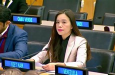 Вьетнам подчеркивает ценности и принципы Устава ООН как основу международного права
