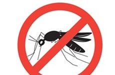 Заместитель министра здравоохранения: Вьетнам уверен в устранении малярии к 2030 году