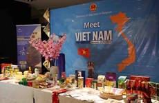 Меры по развитию вьетнамско-бельгийского сотрудничества