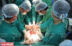 Вьетнам - яркое пятно в области трансплантации органов