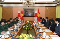 Вьетнам и Япония обязуются укреплять оборонные связи в рамках 10-го политического диалога