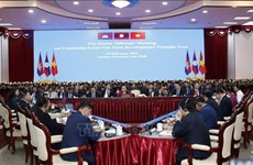 Вьетнам призывает к прорыву в соглашениях о сотрудничестве CLV